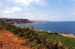 Vue sur la c&ocirc;te et Cherbourg